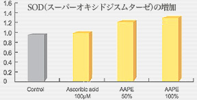 メラミン作成の約70％を抑制し抗酸化