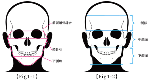 小顔の美容整形術について１